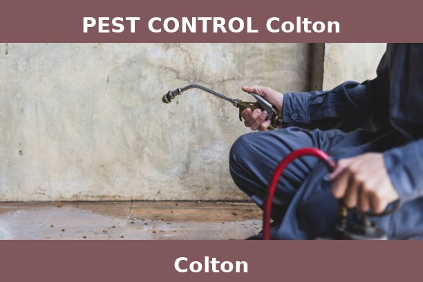 PEST CONTROL Colton